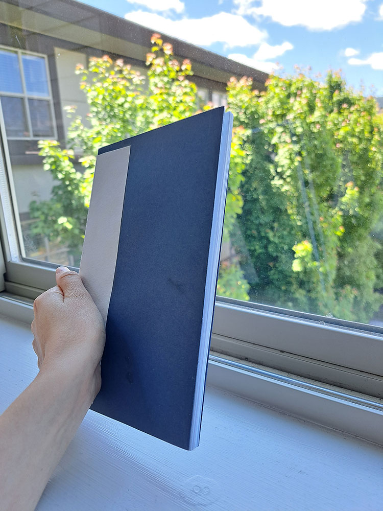 Love Sprouts And Other&nbsp;Stories